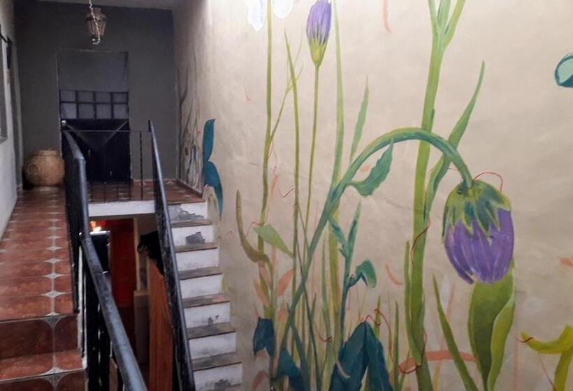 اتاق استاندارد, El Laberinto Hospedaje En Casa