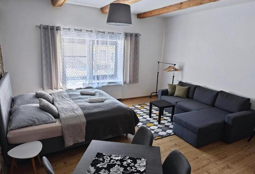 침실 1개 아파트, Apartmány 91 Boží Dar