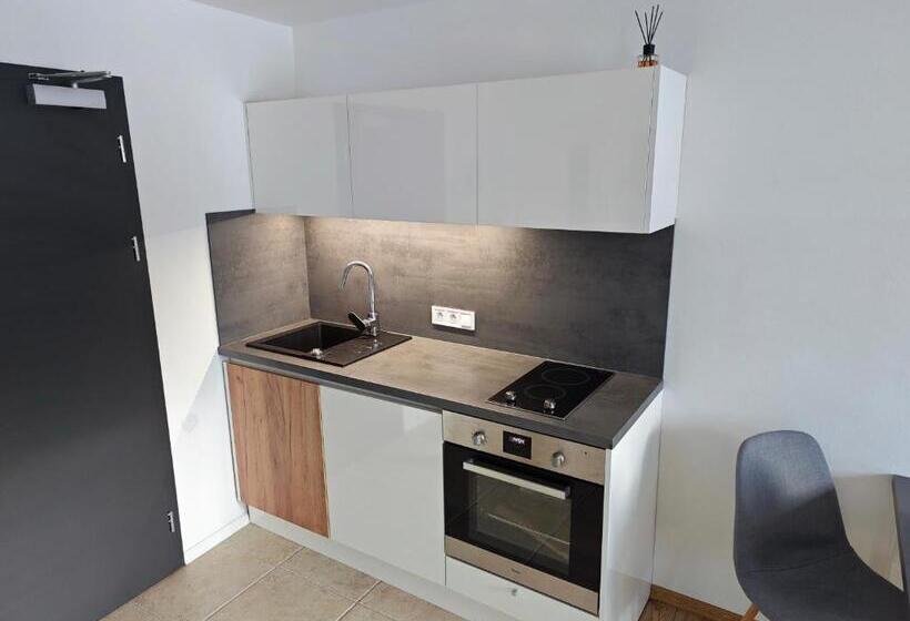 스탠다드 스튜디오, Apartmány 91 Boží Dar