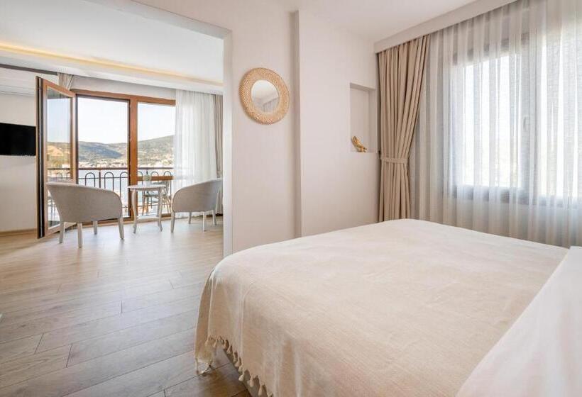 اتاق استاندارد با چشم‌انداز دریا, Hanedan Otel