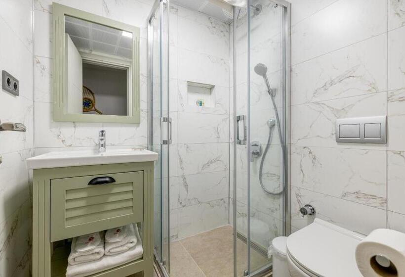 اتاق استاندارد, Hanedan Otel