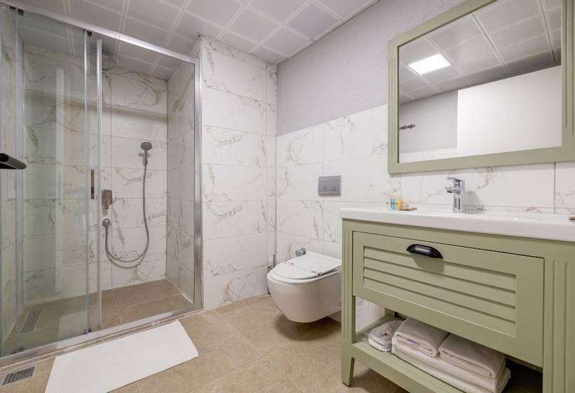 اتاق استاندارد برای معلولان, Hanedan Otel