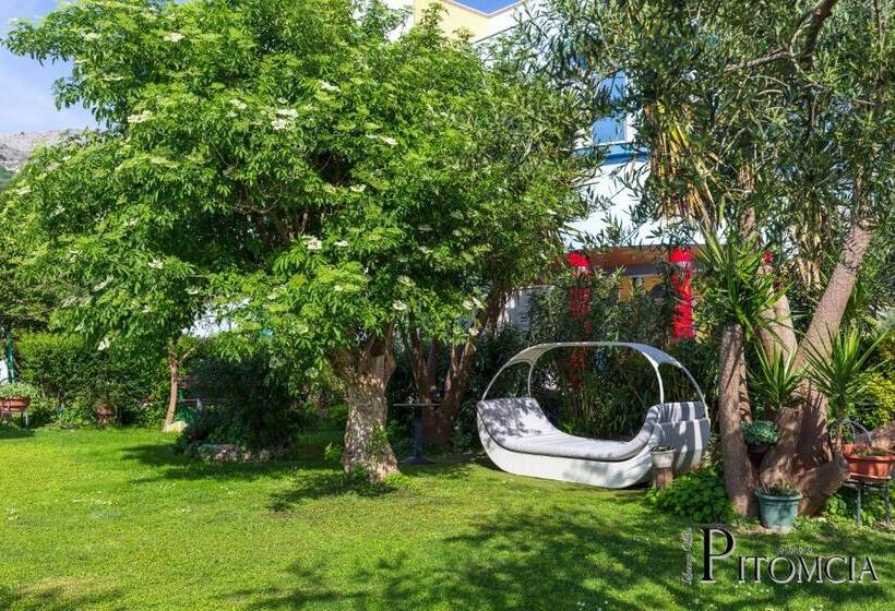 Номер Стандарт Вид на Море с Террасой, Villa Pitomcia