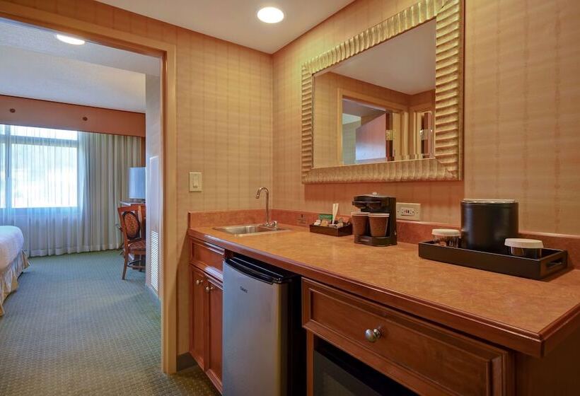 Люкс Адаптированный для Инвалидов, Embassy Suites By Hilton At Hot Springs Convention Center