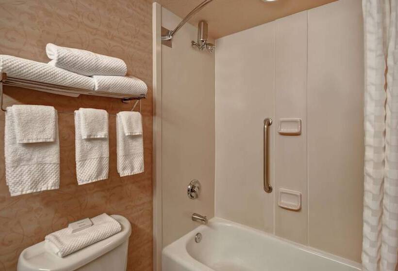 Номер Премиум, Embassy Suites By Hilton At Hot Springs Convention Center