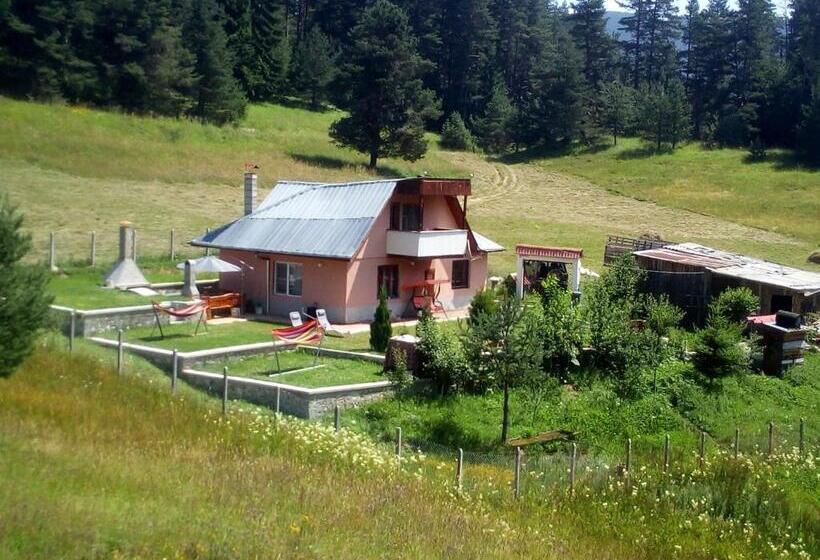 Вилла 1 Спальня, Tolem