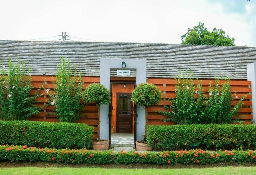 اتاق لوکس, Chez Piera Resort
