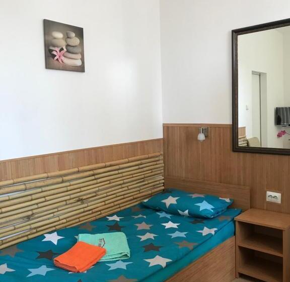 单人经济间, Pension Haus Baron 1 Neckarau