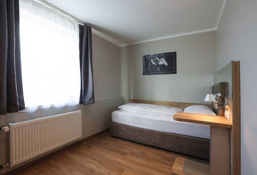 Номер Стандарт Индивидуальный, Arthotel Ana Flair