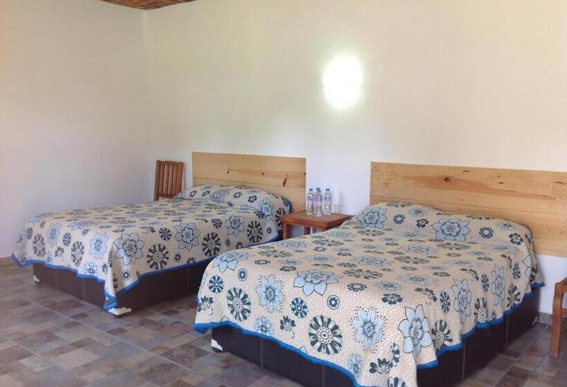 Номер Стандарт, Finca Las Bovedas