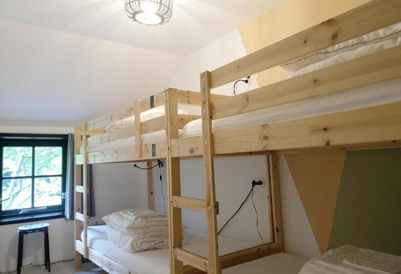 Четырехместный Номер Economy, The Black Sheep Hostel
