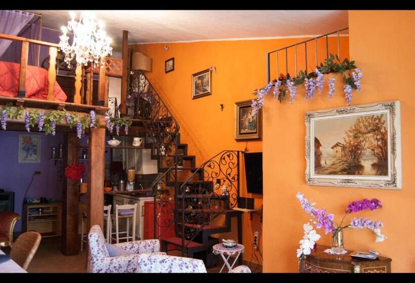 Студия Стандарт, Amarcord