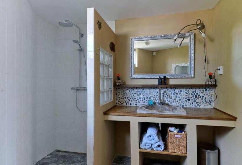 اتاق استاندارد با سرویس بهداشتی مشترک, Silver Moon Bed & Breakfast