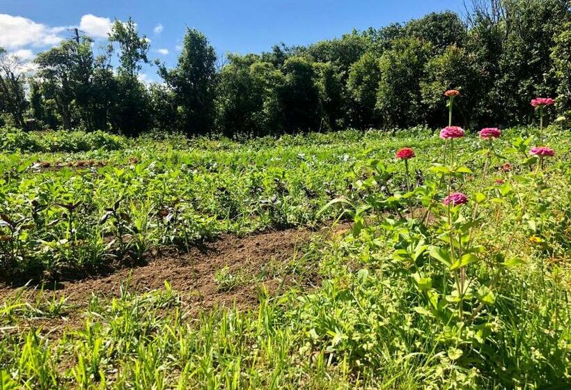Апартаменты 1 Спальня Вид на Сад, Quinta Dos Sabores Farm Houses