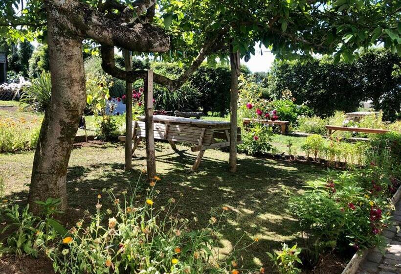 Апартаменты 1 Спальня Вид на Море, Quinta Dos Sabores Farm Houses
