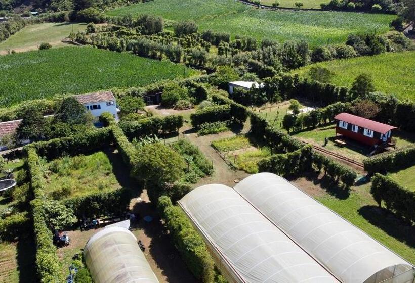 Апартаменты 1 Спальня Вид на Море, Quinta Dos Sabores Farm Houses