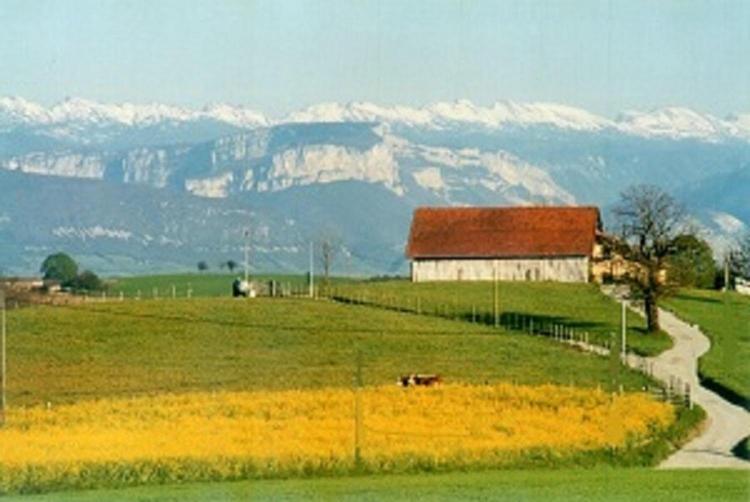 Студио Стандарт с Видом, Gîte La Grange Du Haut