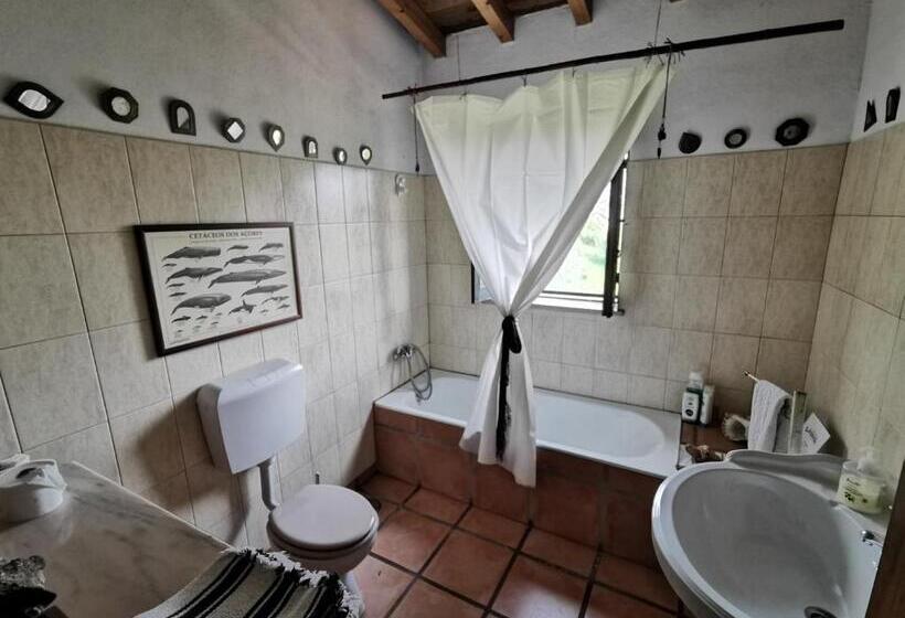 Кровать в Общей Комнате, Hostel Argonauta