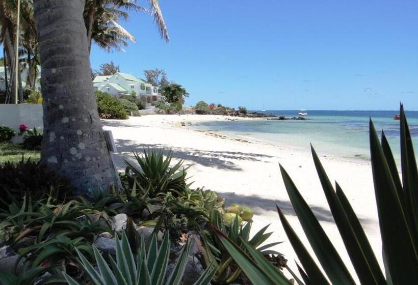 اتاق استاندارد با چشم‌انداز دریا, Colibri Beach Villas