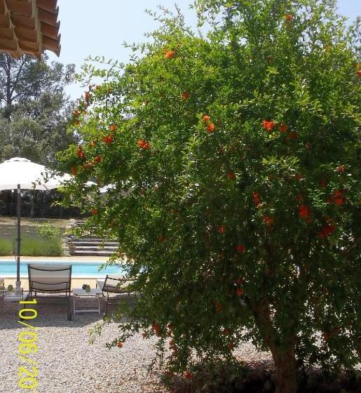 Номер Стандарт, Maprovencale