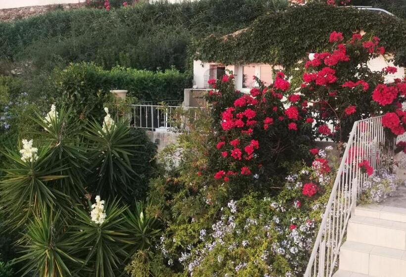 اتاق استاندارد با چشم‌انداز دریا, Villa Patrizia