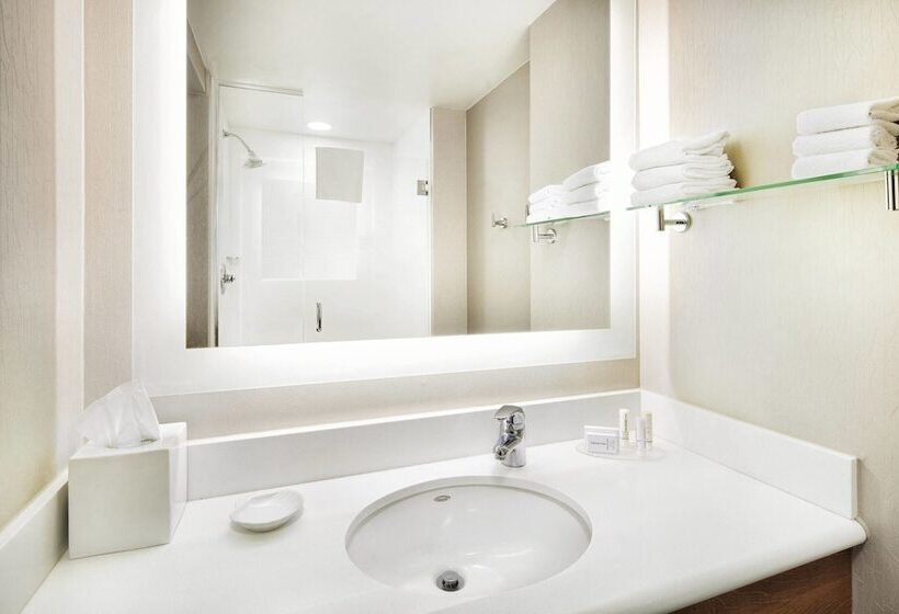 Standaard Studio, Springhill Suites Indianapolis Downtown