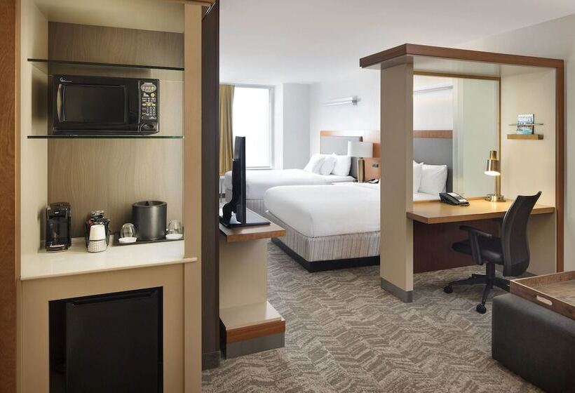 Standaard Studio met Uitzicht op de Stad, Springhill Suites Indianapolis Downtown