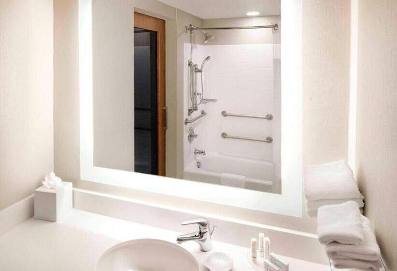 Standaard Studio, Springhill Suites Indianapolis Downtown