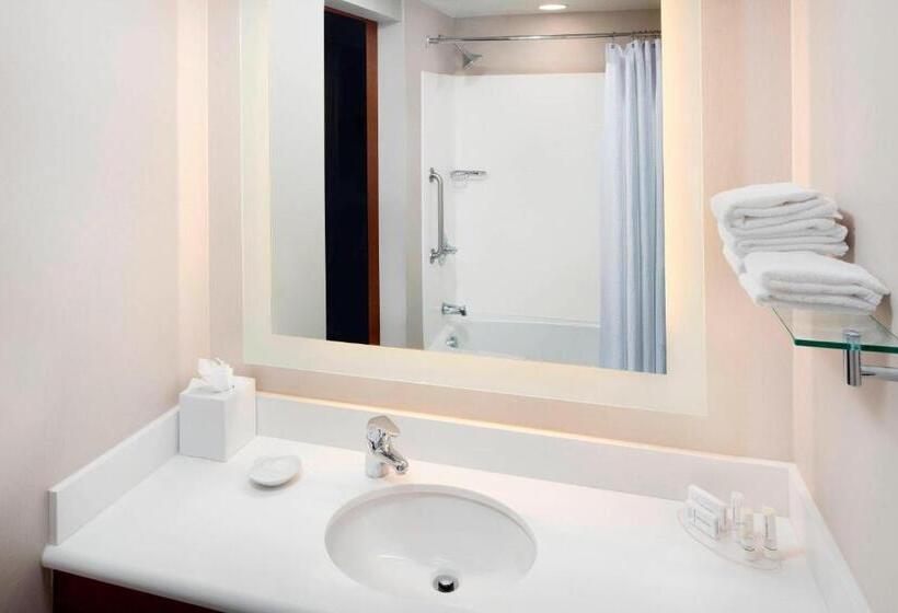 Standaard Studio met Uitzicht op de Stad, Springhill Suites Indianapolis Downtown