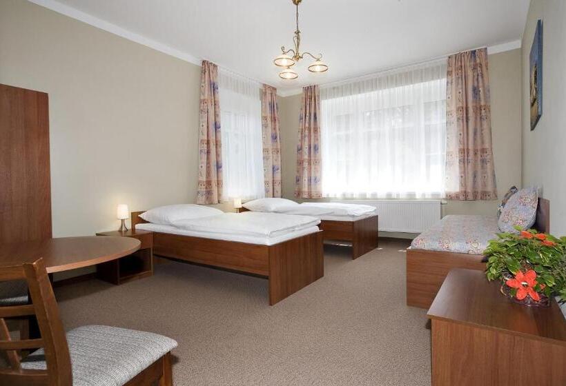 Номер Стандарт Трехместный, Letní Pobyt Na Hotelu Samechov V Posázaví
