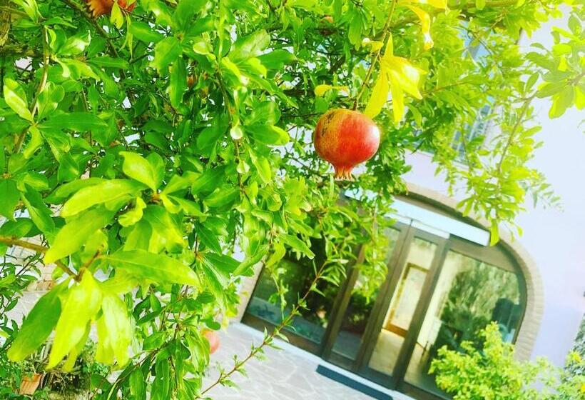 Студия Стандарт, Residenza Locci  Rooms & Apartments