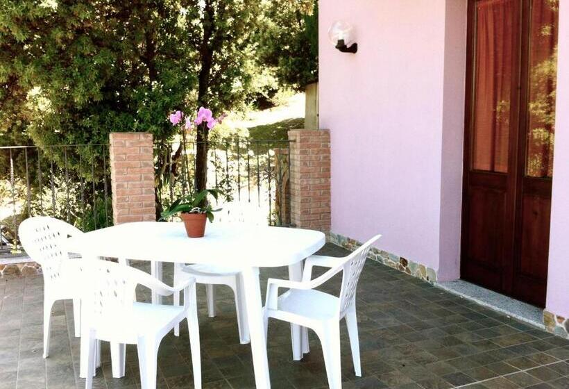 Апартаменты 1 Спальня с Террасой, Residenza Locci  Rooms & Apartments