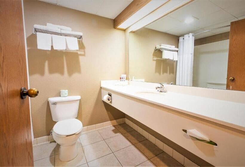 标准间, Days Inn & Suites By Wyndham Cuba