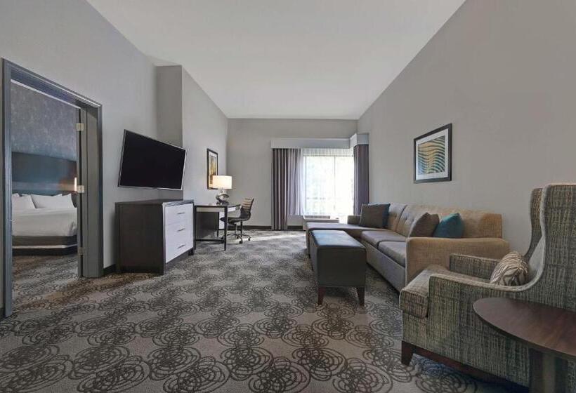 Suite Letto King, Four Points By Sheraton Birmingham Homewood