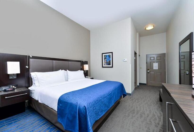 Стандартный Номер Кровать Кинг, Holiday Inn Express Hotel & Suites St. Louis West O Fallon, An Ihg