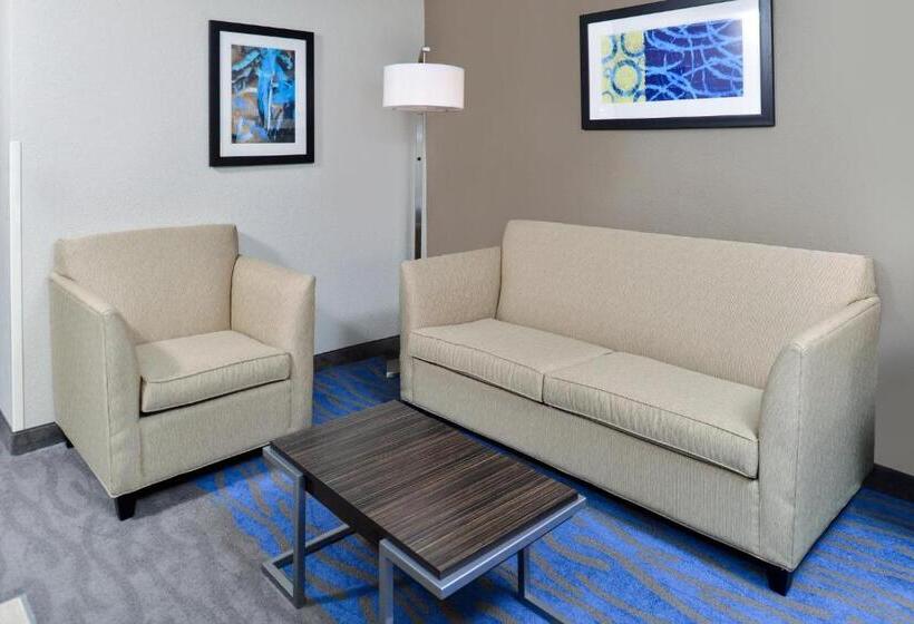 Полулюкс, Holiday Inn Express Hotel & Suites St. Louis West O Fallon, An Ihg