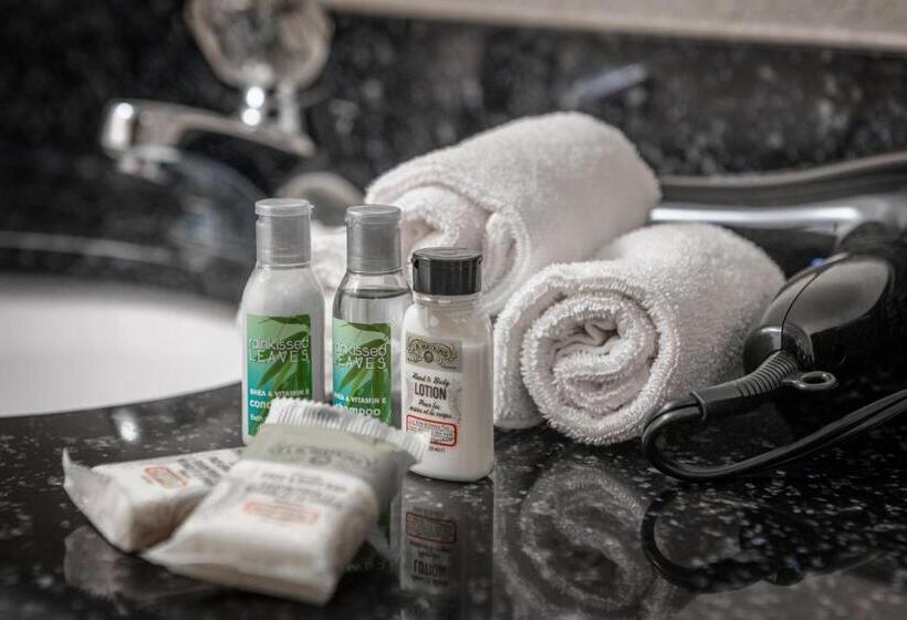 스탠다드 룸, Holiday Inn Express And Suites Pikeville, An Ihg