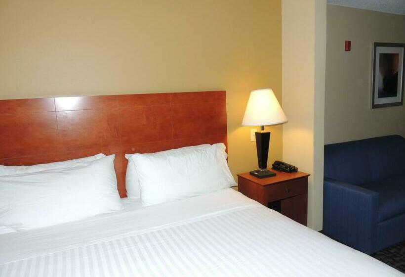 스위트 킹사이즈 침대, Holiday Inn Express Trussville, An Ihg