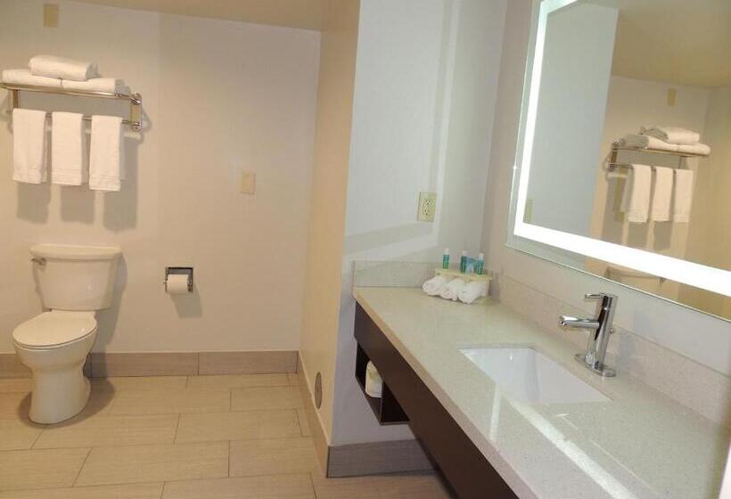 침실 2개 스위트, Holiday Inn Express Trussville, An Ihg