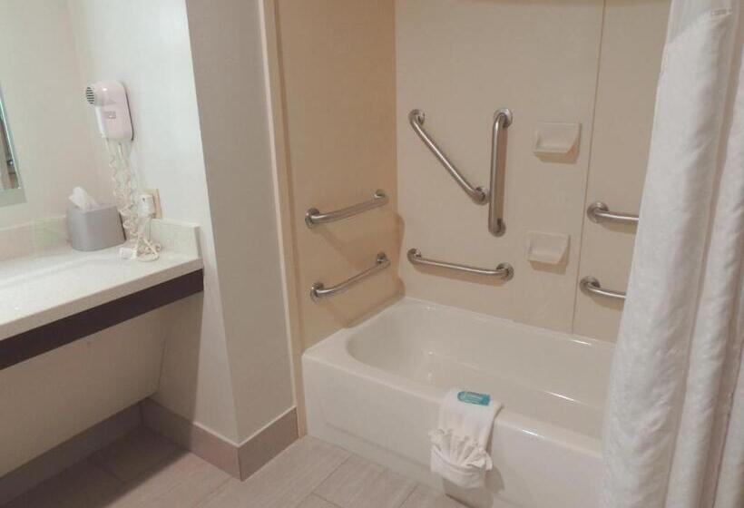 장애인을 위한 킹사이즈 침대 스탠다드 룸, Holiday Inn Express Trussville, An Ihg
