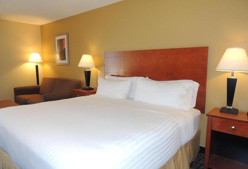 스탠다드 룸 킹사이즈 침대, Holiday Inn Express Trussville, An Ihg