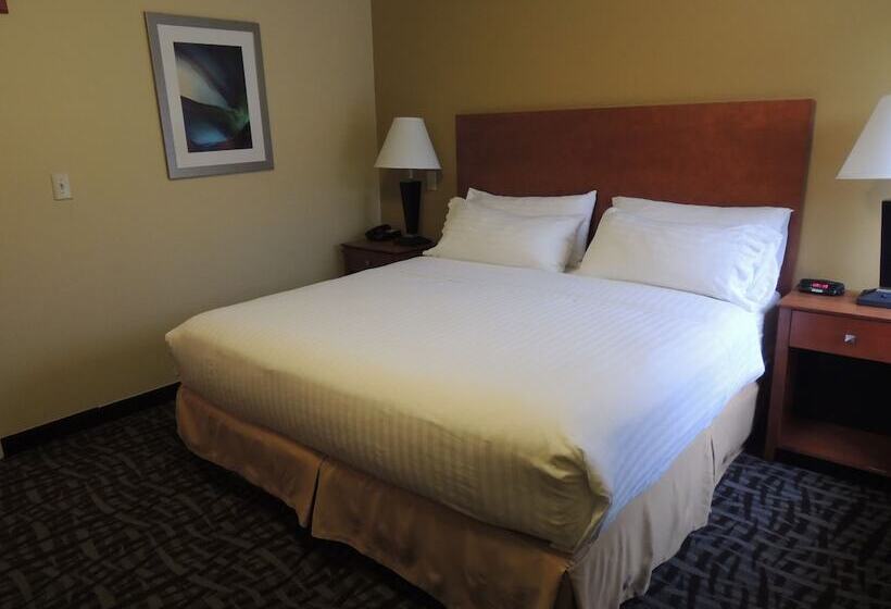 스위트, Holiday Inn Express Trussville, An Ihg