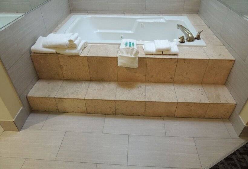 스위트, Holiday Inn Express Trussville, An Ihg
