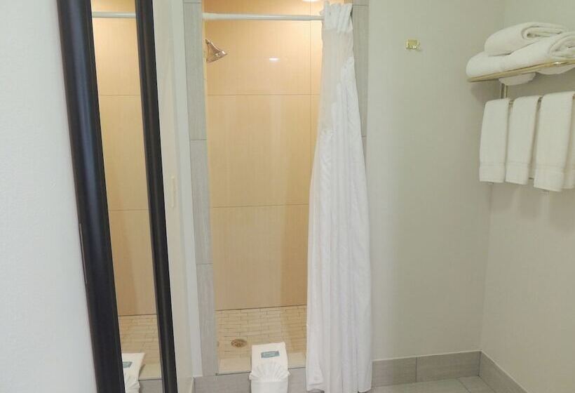 스위트, Holiday Inn Express Trussville, An Ihg