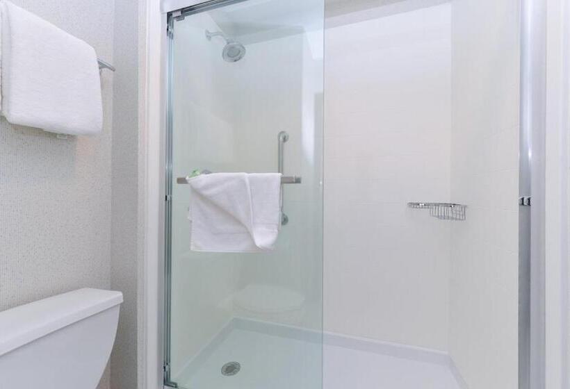 Стандартный Номер Кровать Кинг, Holiday Inn Express Wixom, An Ihg