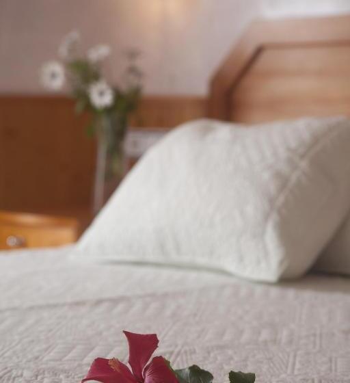 Standard Yhden Hengen Huone, Hostal Mar De Frente