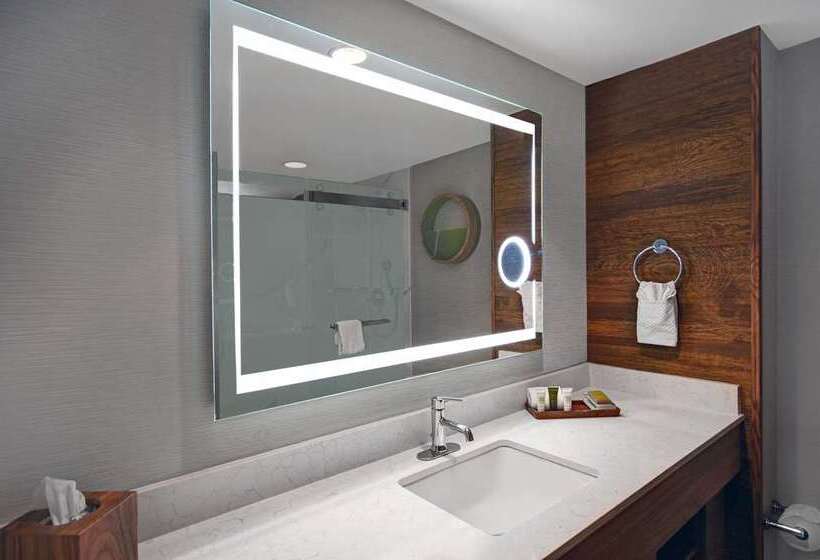 اتاق استاندارد با تخت بزرگ, Hilton Bogota