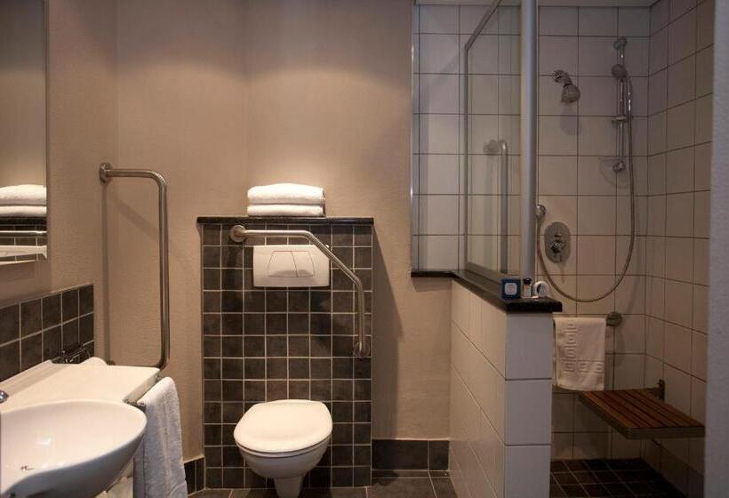 Номер Стандарт Адаптированный для Инвалидов, Town Lodge Roodepoort