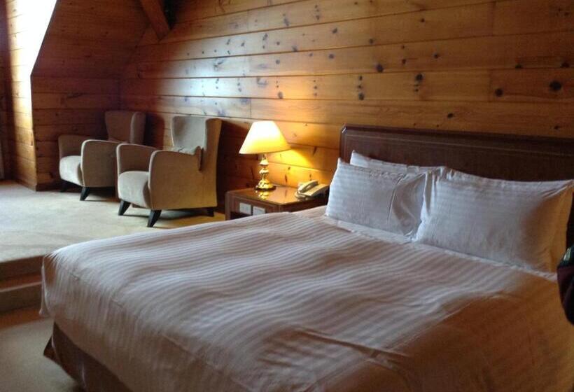 اتاق لوکس با چشم‌انداز دریاچه, The Richforest Hotel  Sun Moon Lake