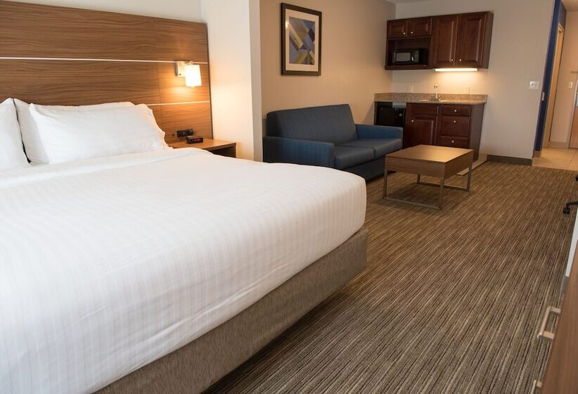 Suite, Holiday Inn Express Hotel & Suites Elkhart South, An Ihg